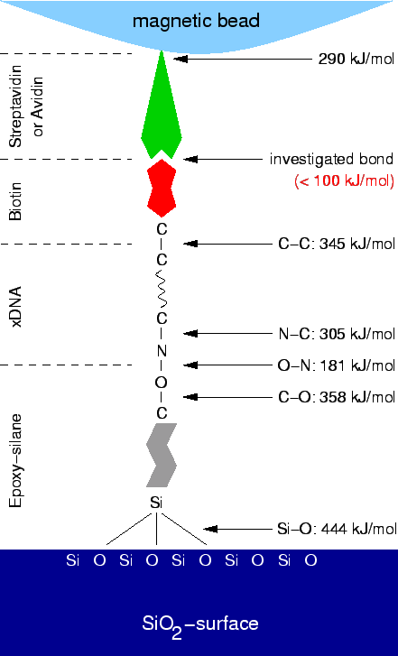 \includegraphics[width=.8\textwidth]{Bilder/Bonds}