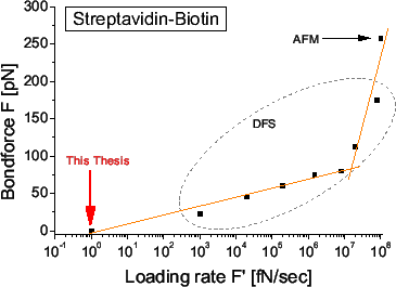 \includegraphics[width=.74\textwidth]{Bilder/Streptavidin-Loadingrate}