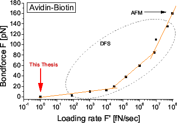 \includegraphics[width=.74\textwidth]{Bilder/Avidin-Loadingrate}