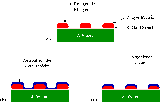 \includegraphics [width=\textwidth]{Bilder/Probenaufbau.eps}